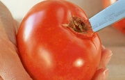Preparación de Cómo Pelar un Tomate Fácilmente