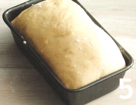 Preparacion de Pan de Molde Blanco - Paso 5